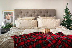 N° de l'image 14498736