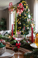 N° de l'image 14498756