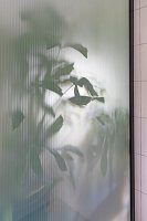 N° de l'image 14498816