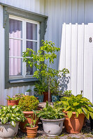 N° de l'image 14500320