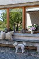 N° de l'image 14500514