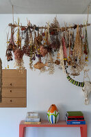 N° de l'image 14500612