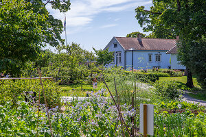 Immagine N°: 14509792