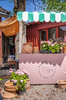 Immagine N°: 14509800