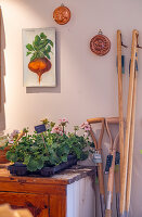 Immagine N°: 14509816