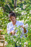 Immagine N°: 14509824