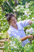 Immagine N°: 14509826