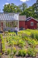 Immagine N°: 14509834