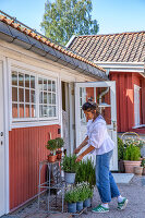 Immagine N°: 14509840