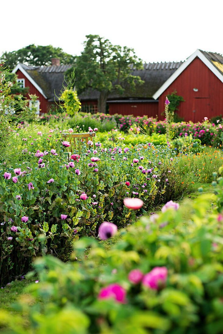 Ein schwedischer Garten Features kaufen 11271958