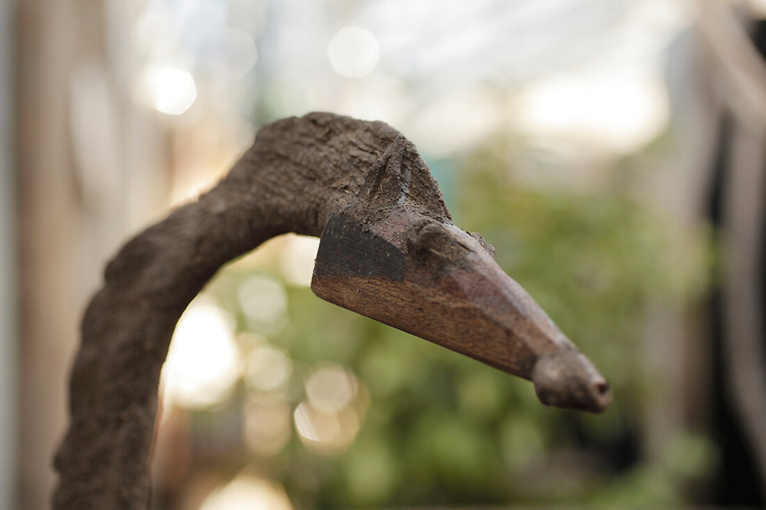 Wohnen im Gewächshaus – Features kaufen – 11370127 living4media