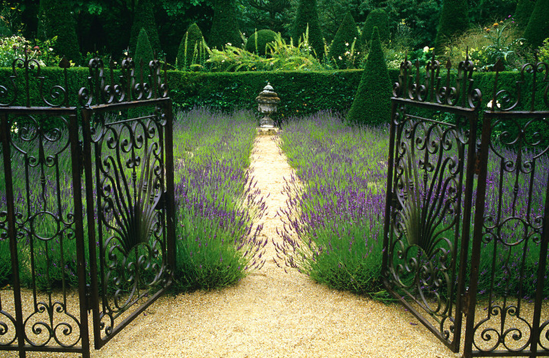 Verzauberter Garten – Features kaufen – 11164024 living4media