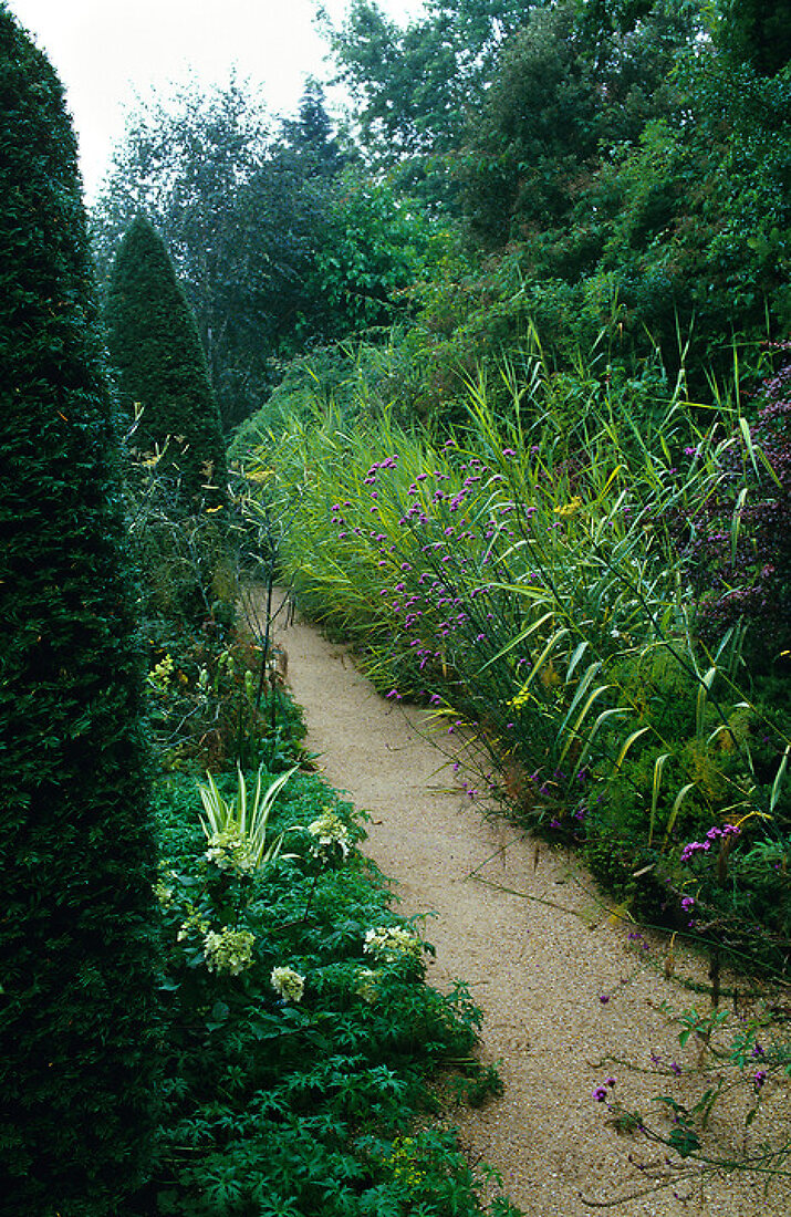 Verzauberter Garten – Features kaufen – 11164024 living4media