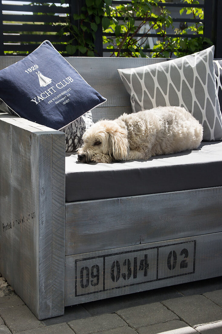 Welcome on board – Features kaufen – 11956507 living4media