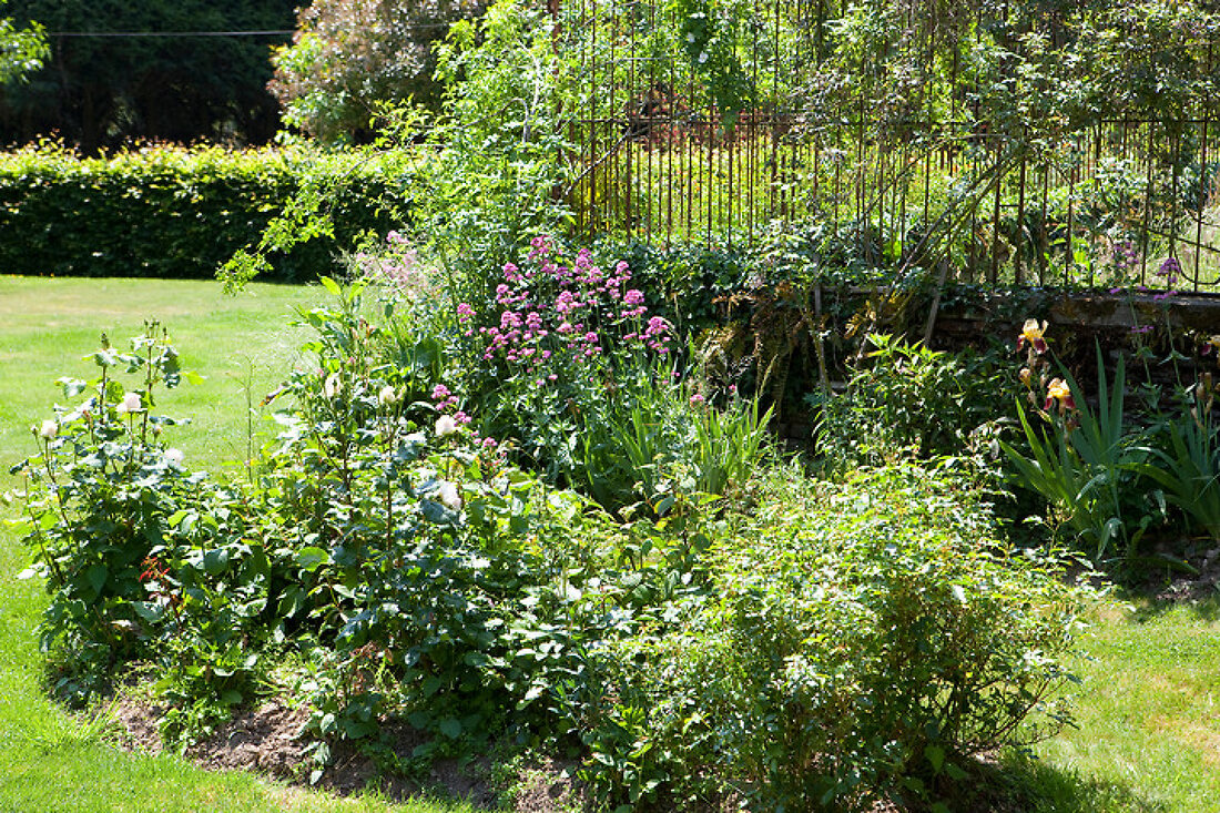 Das Rennen gemacht – Features kaufen – 12322211 living4media