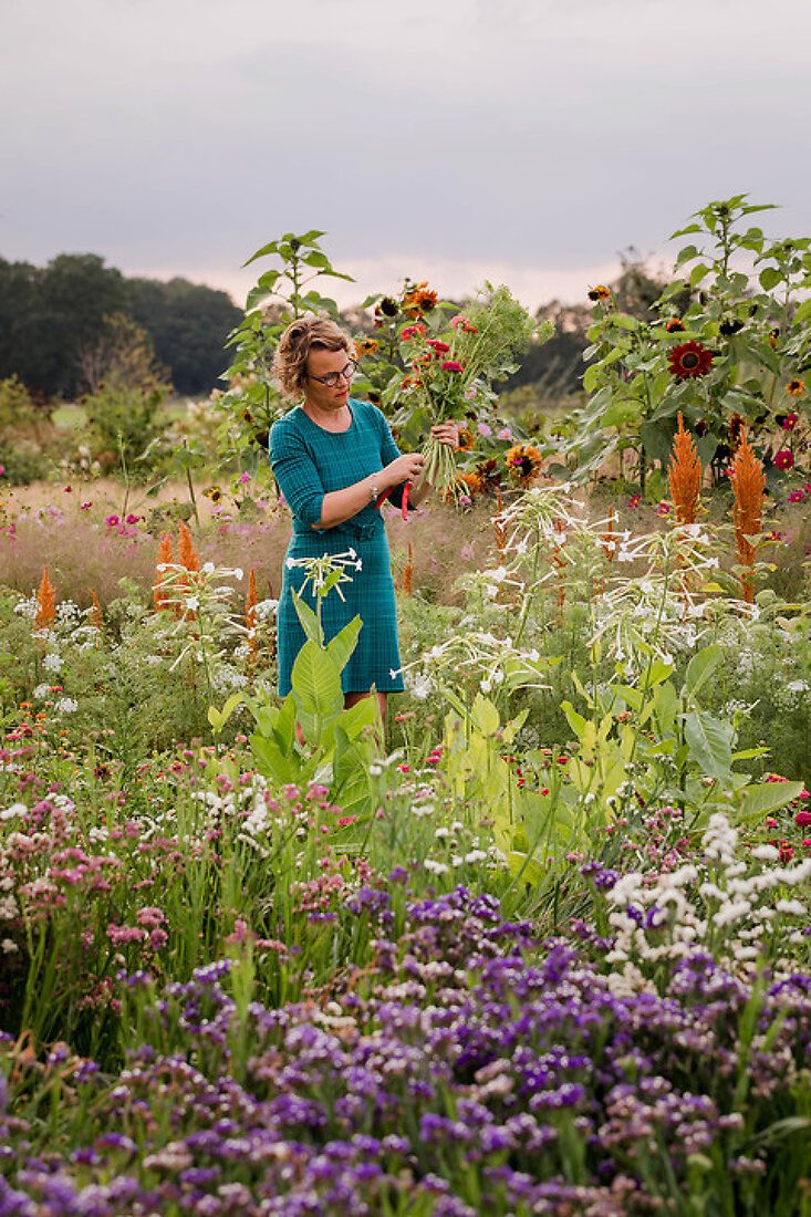 Miss Tuinboon’s Flower Haven