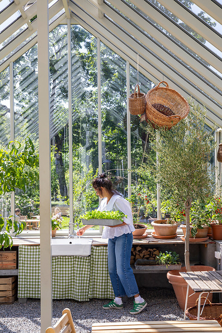 Tradition with New Vitality