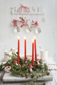 Festive Fir