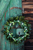 Festive Mistletoe Crafts