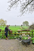 Tuin het Hofje’s Seasonal Charm