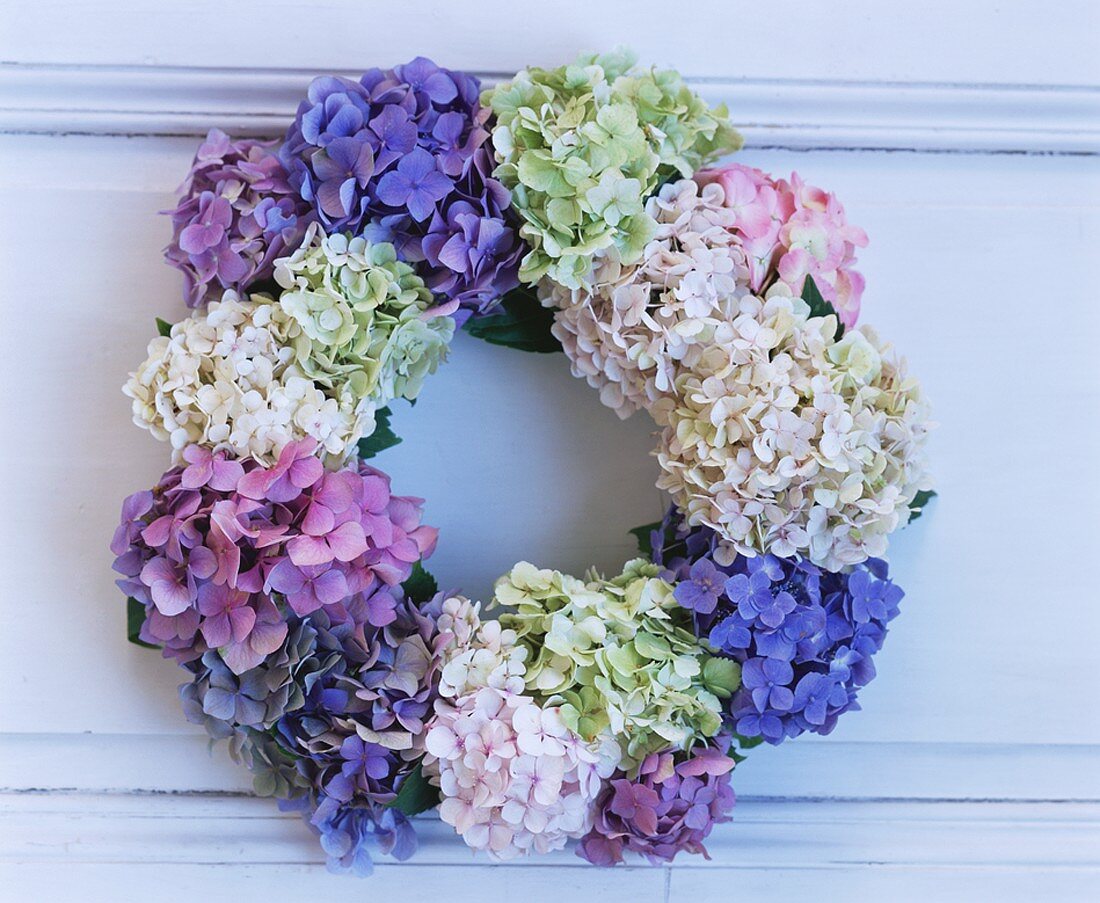 Hydrangea door wreath