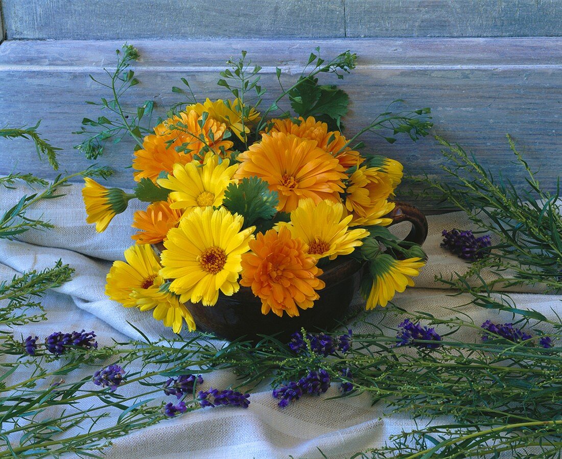 Marigolds, lavender and shepherd's purse