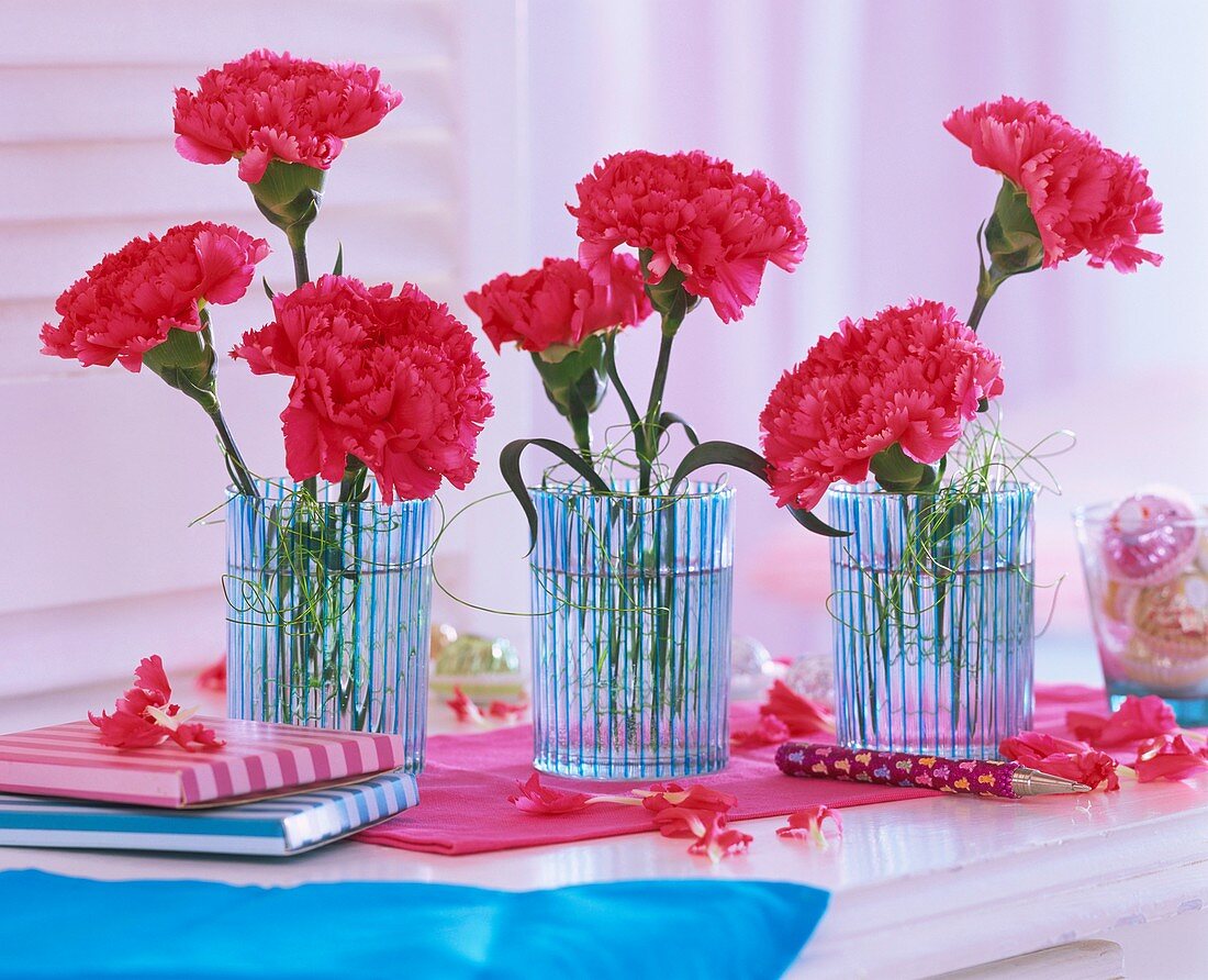 Carnations in three glasses, books and a pen