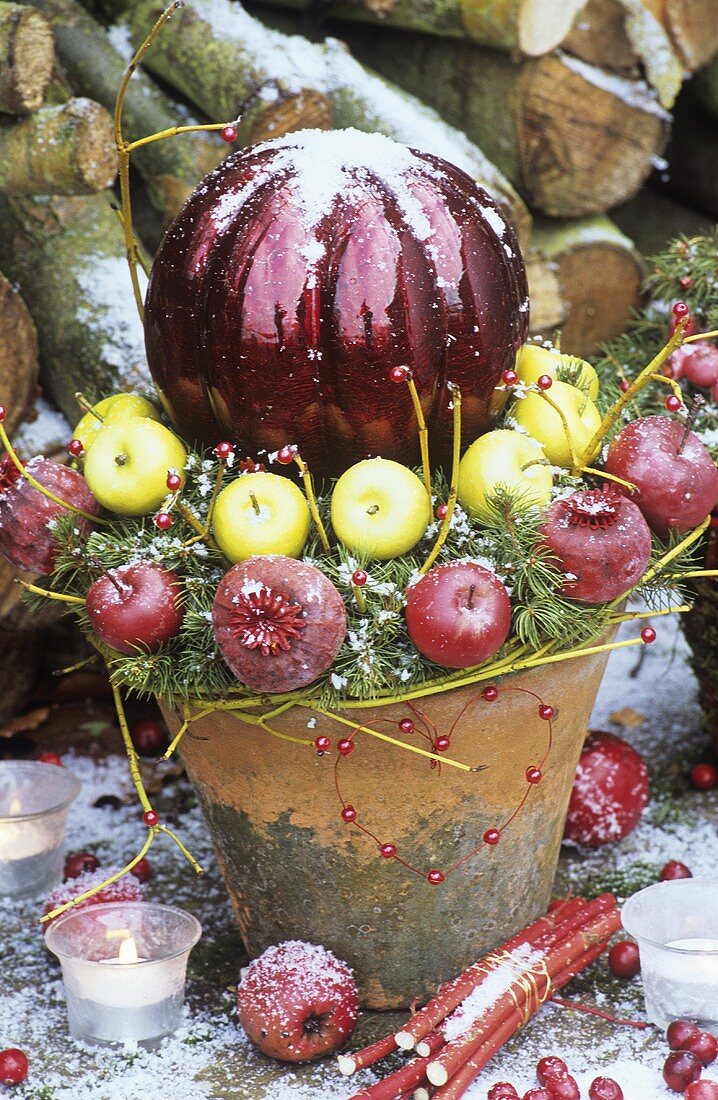 Ein weihnachtliches Topfgesteck mit Äpfeln
