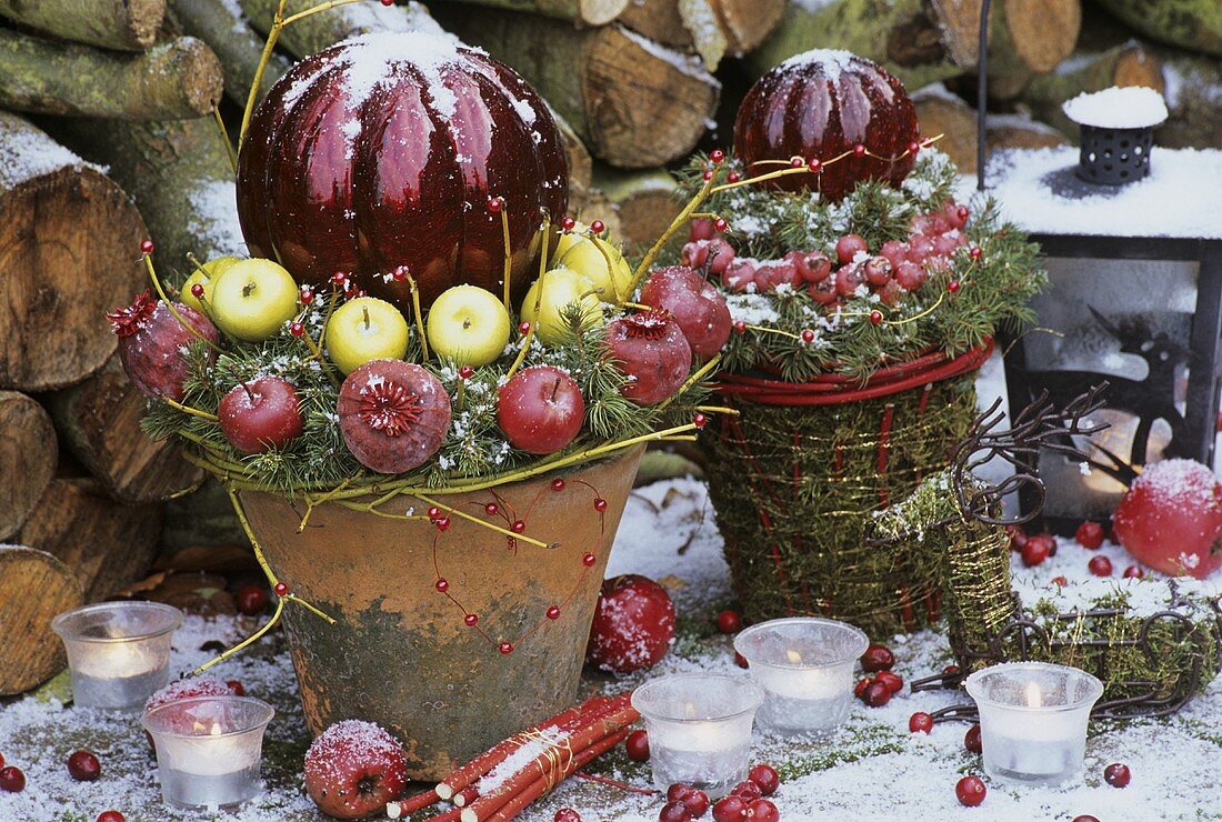 Outdoor Christmas decoration with apples and dogwood