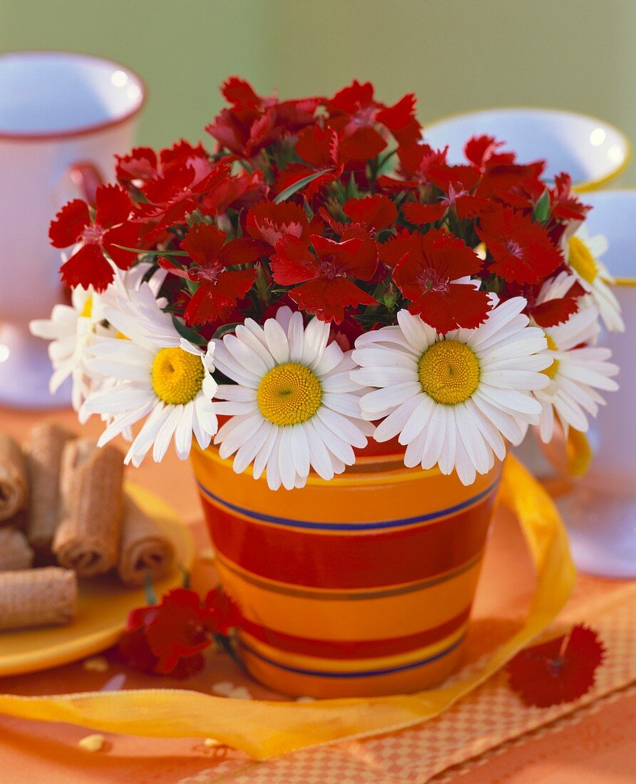 Table decoration: red dianthus & ox-eye daisies in flowerpot