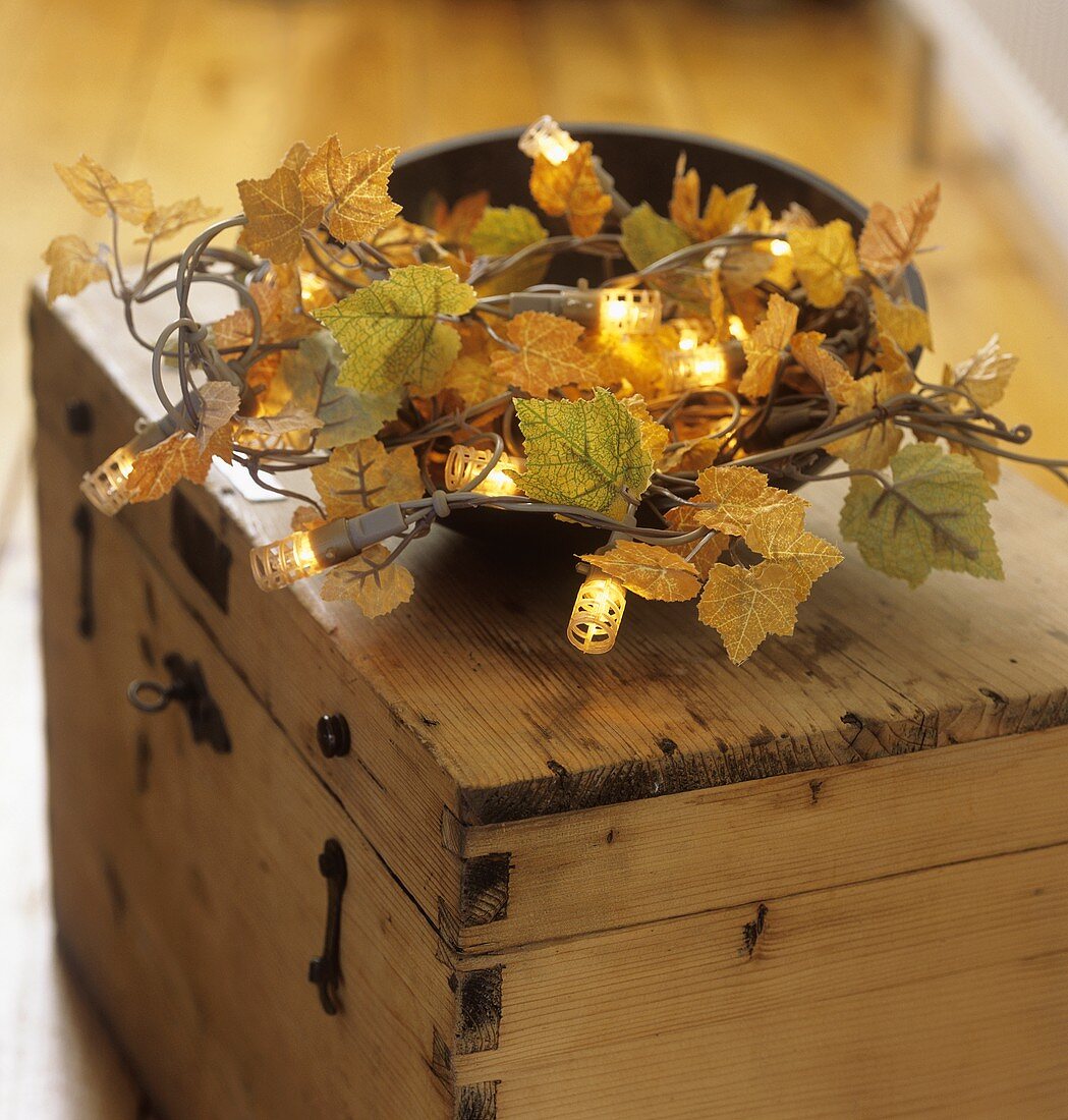 Lichterkette mit Herbstlaub umwickelt in Schale auf Holzkiste