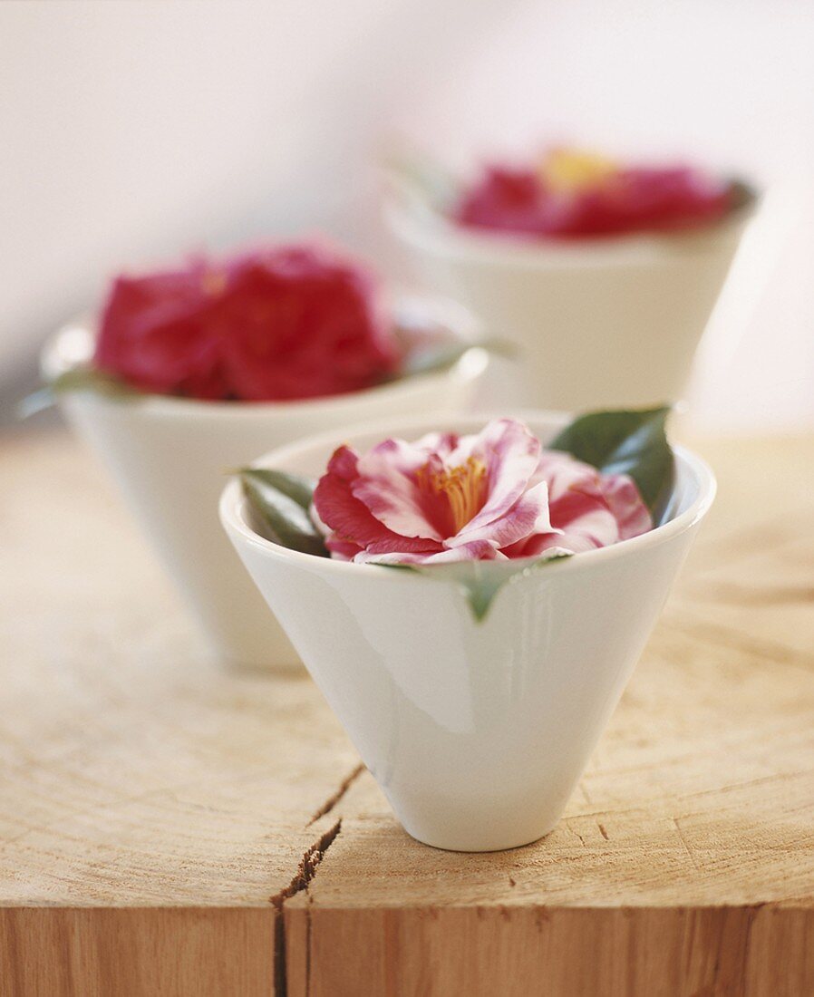 Flowers in cups