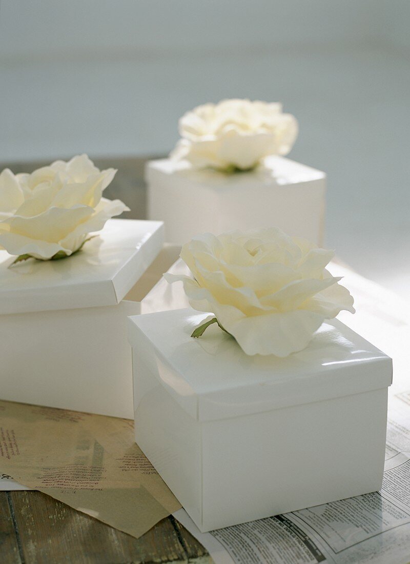 Gift boxes with white roses