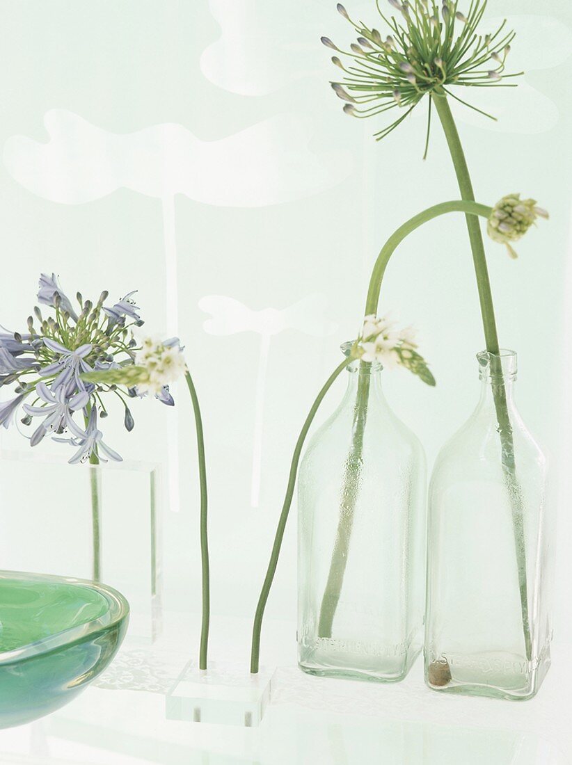 Blumen in Glasflaschen