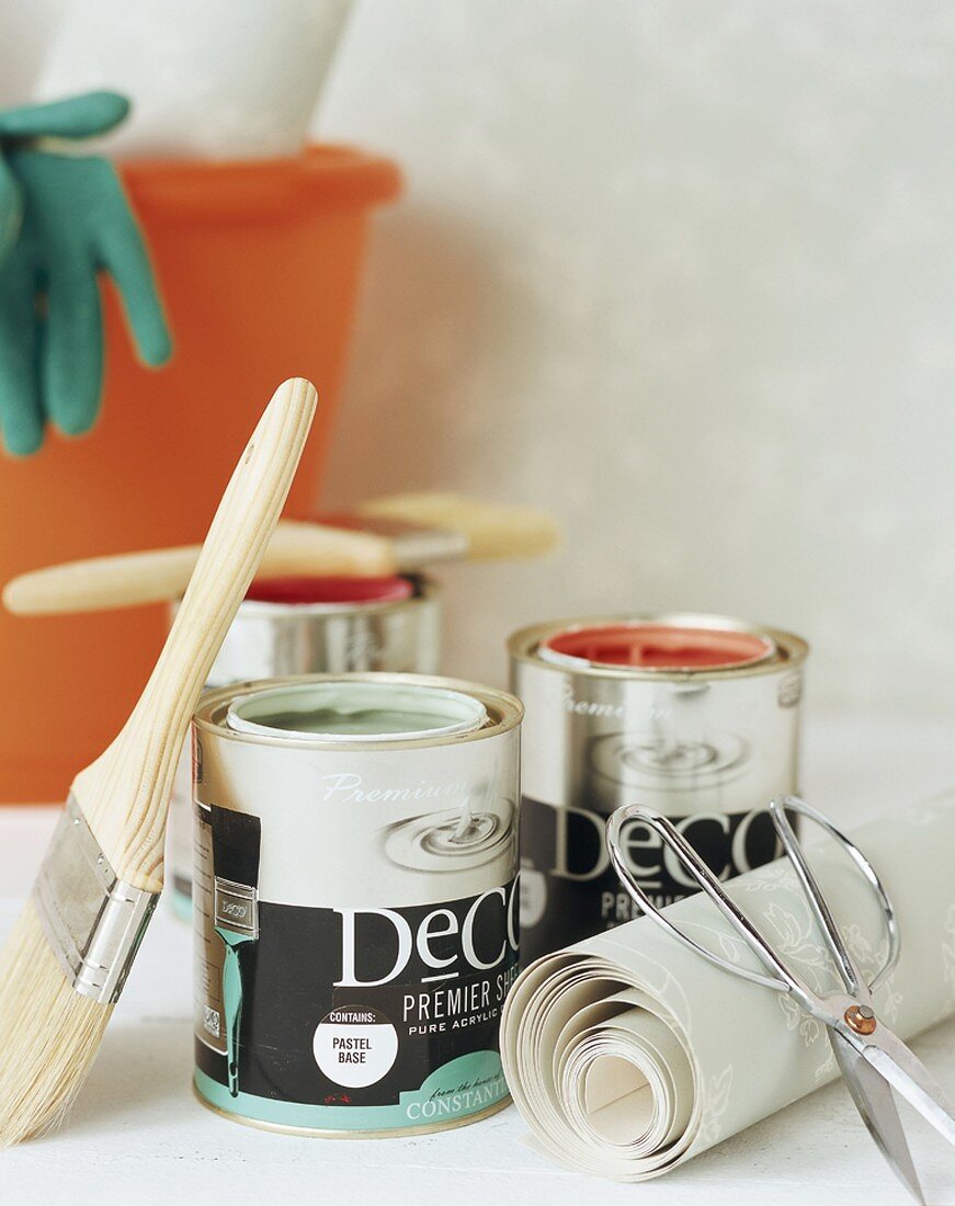 Paint and brushes for redecorating