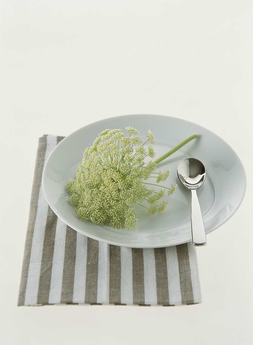 Plant on a plate with a spoon