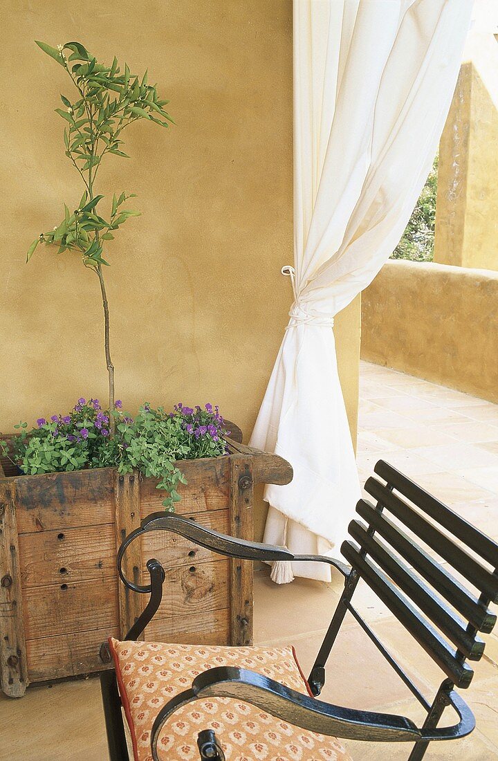 Plants planted in wooden crate