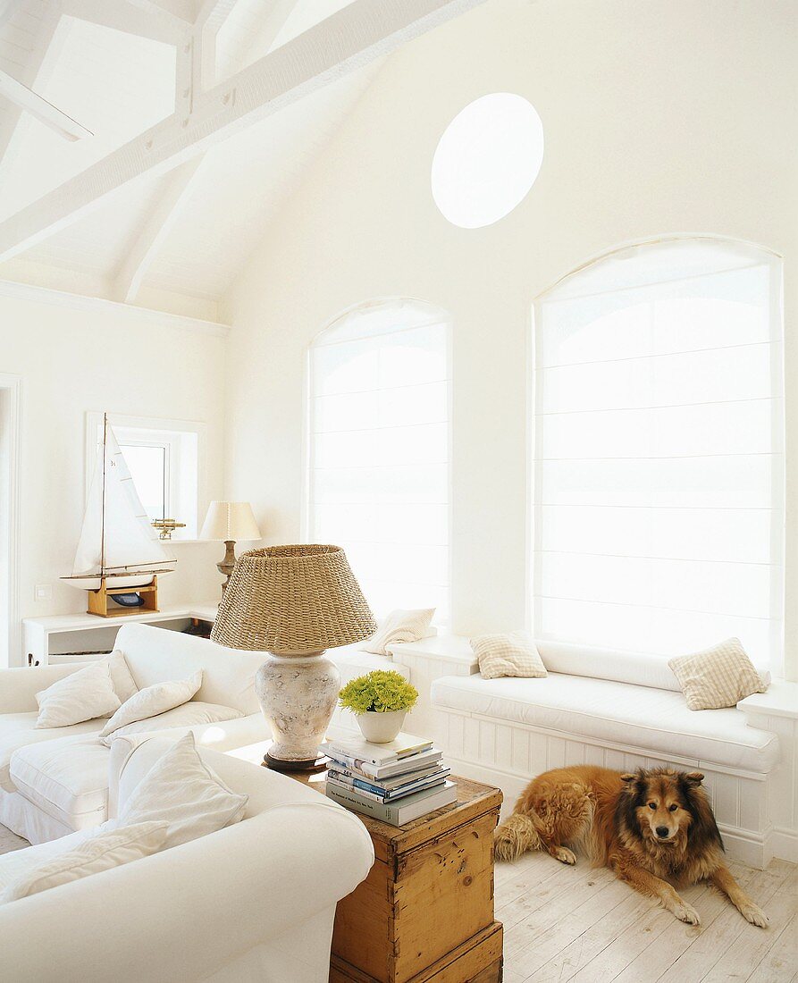 Hund ruht auf dem Boden in einem rundum weissen Wohnzimmer mit Holzkommode und Korb-Tischlampe