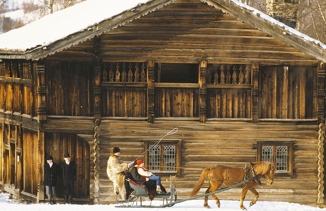 A horse with a sledge in front of a wooden house