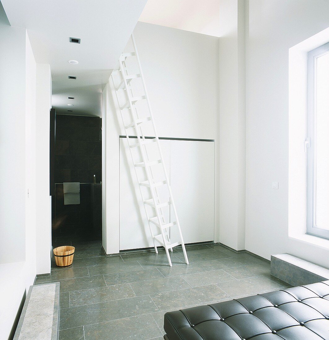 Ladder and couch with bathroom in background