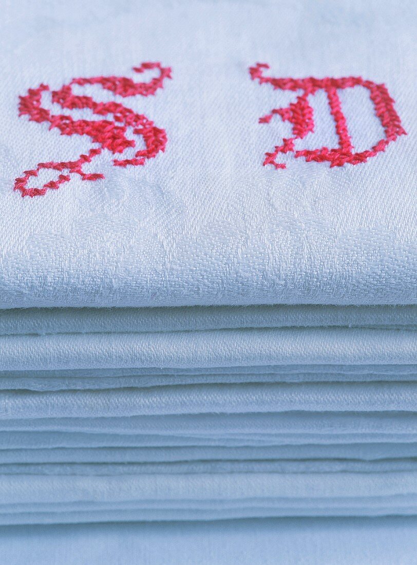 Embroidered napkin
