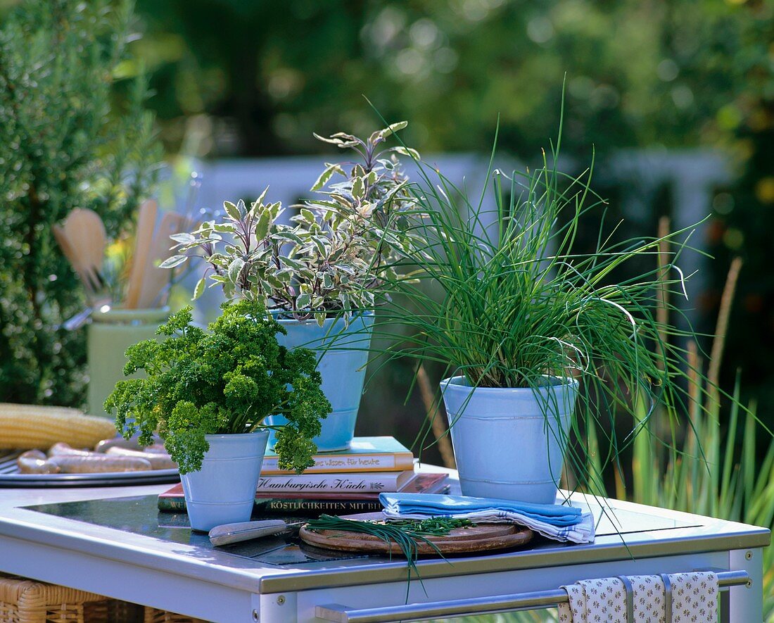Parsley, sage and chives on outdoor kitchen unit