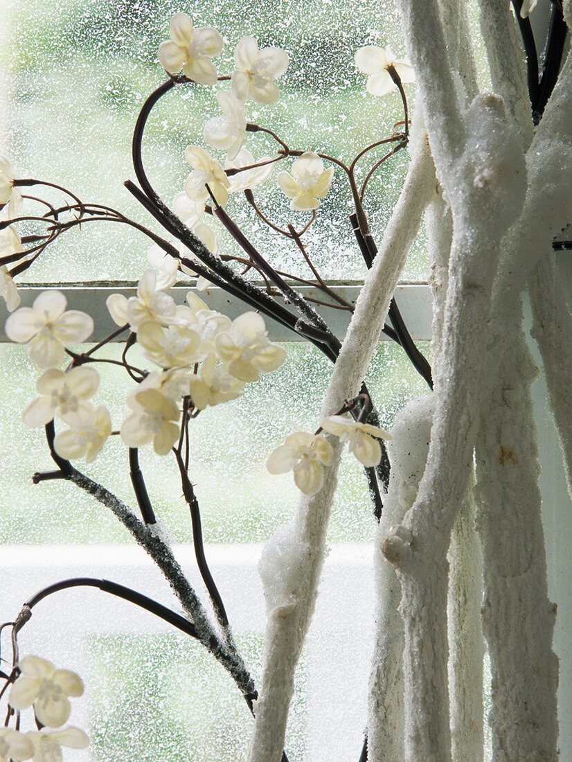 Blumen am gefrorenen Fenster