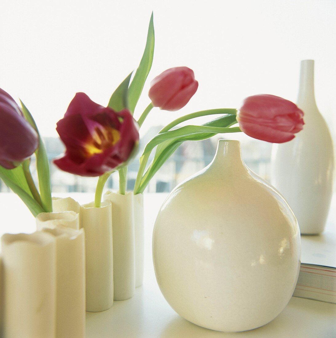 Red tulips in ceramic vase