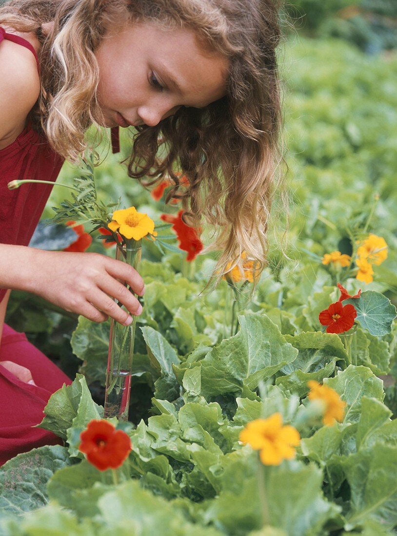Mädchen pflückt Blumen im Garten für ein Reagenzglas