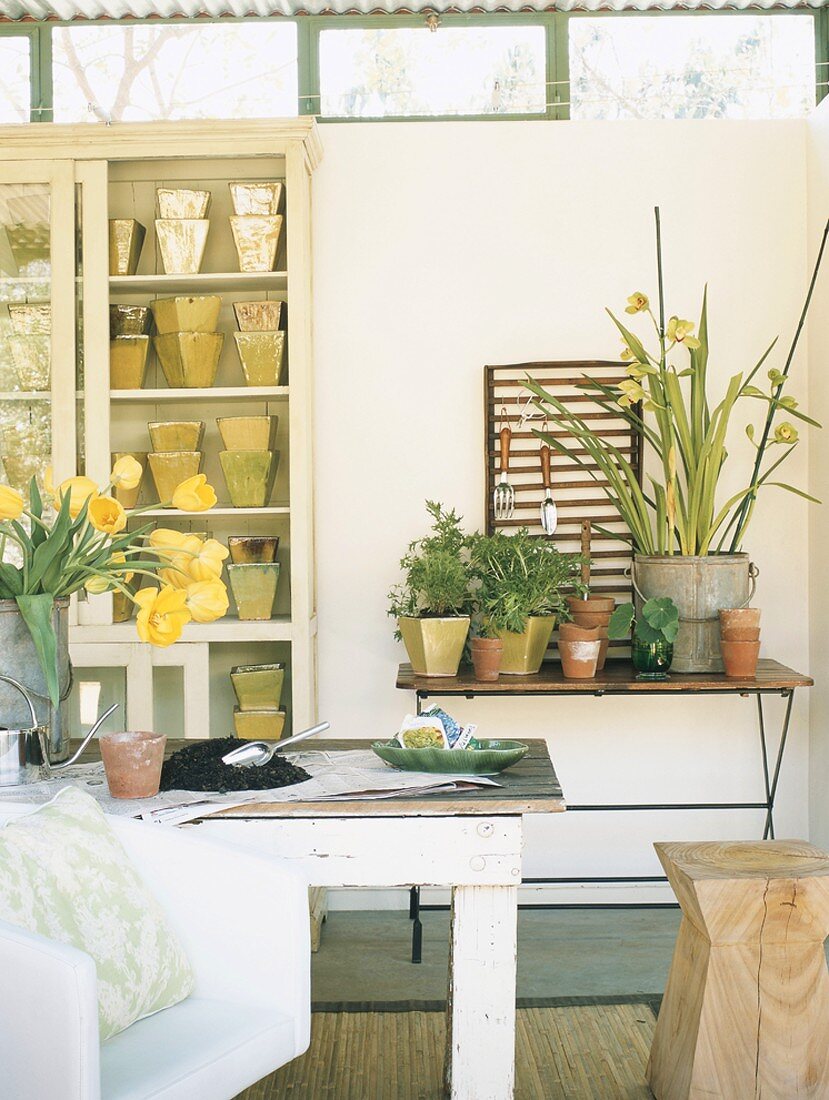 Vintageholztisch mit vielen Blumentöpfen und Pflanzen