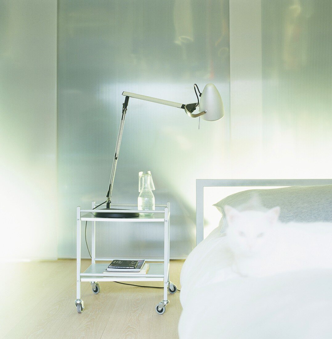 Schlafraumausschnitt mit minimalistischen Aluminiummöbeln und weisser Katze auf dem Bett