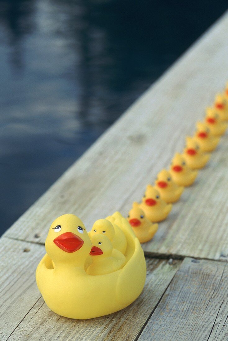 Family of rubber ducks