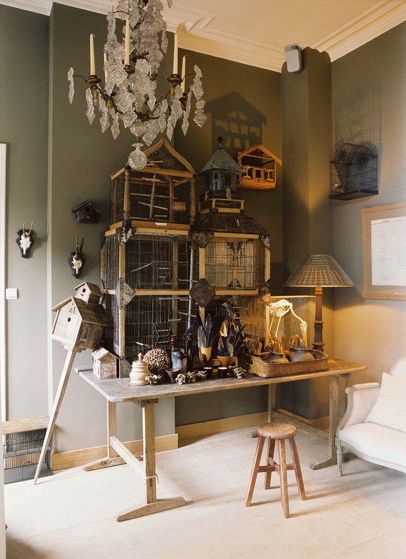 Eine Sammlung von Käfigen, ein Vogelhäuschen und diverse Utensilien auf einem abgenutzten Holztisch