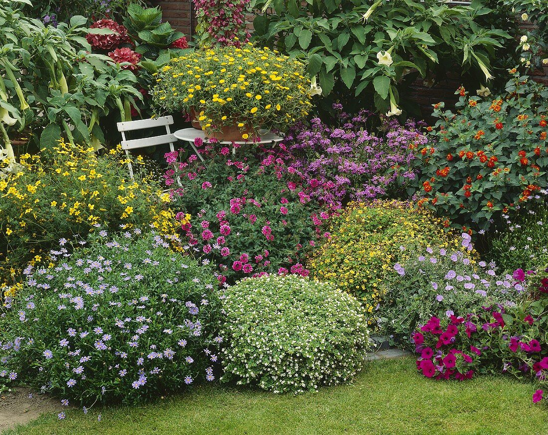 Summer garden with various types of flowers